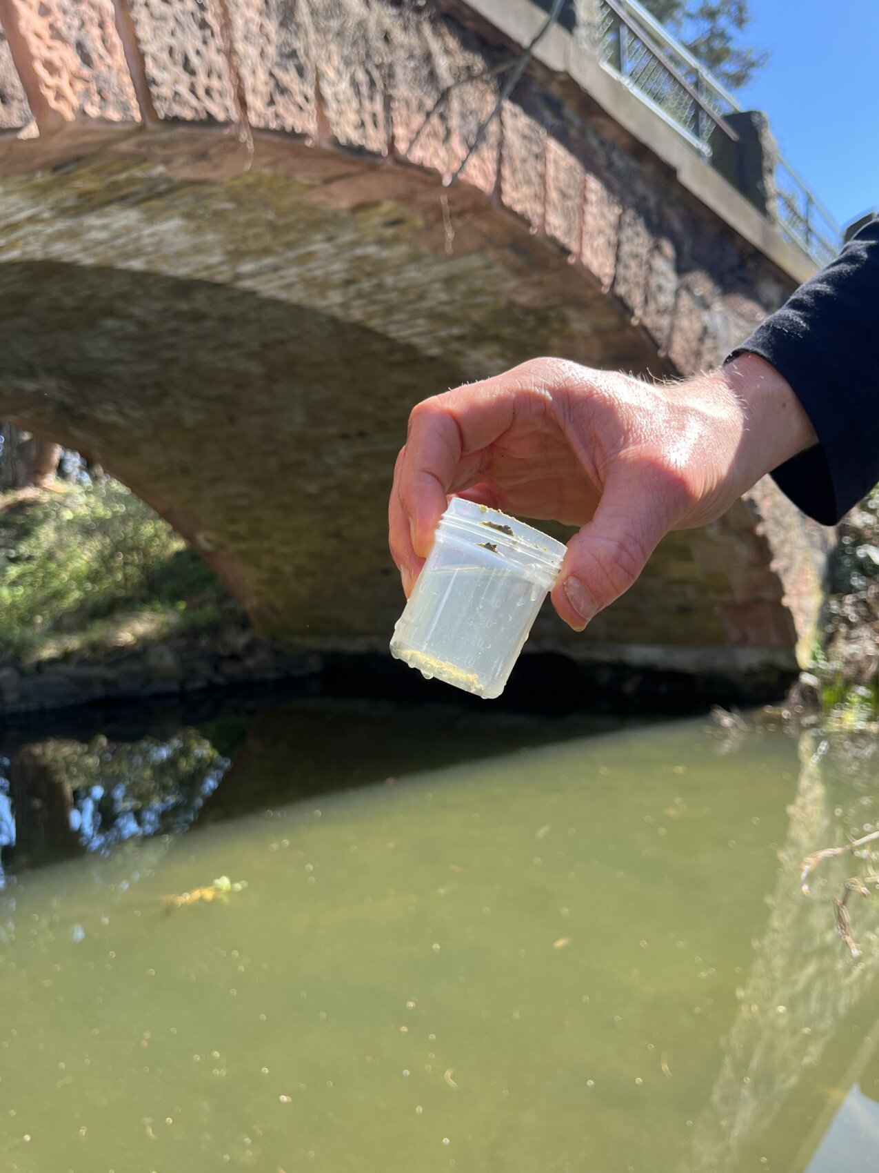 Ein Becher mit Kieselalgen und Wasser vor einem Teich
